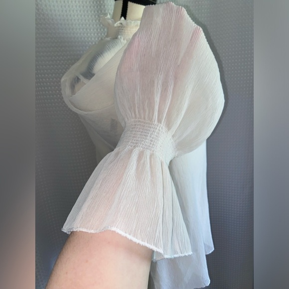 Women’s WOMANCE beige sheer puff sleeves “Crepe” fabric blouse size small - Picture 5 of 11